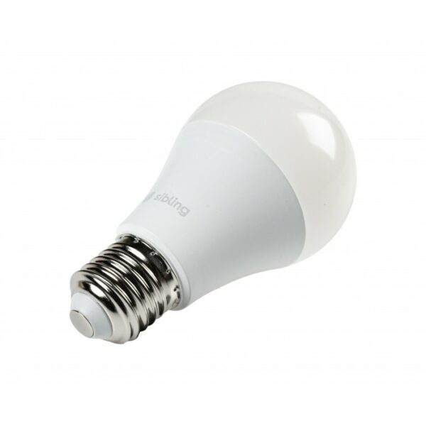 Pametna Wi-FI RGB lampa  8W E27 Powerlight-L